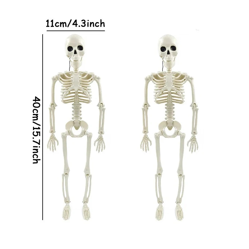 Halloween skeleton prop for shelf display