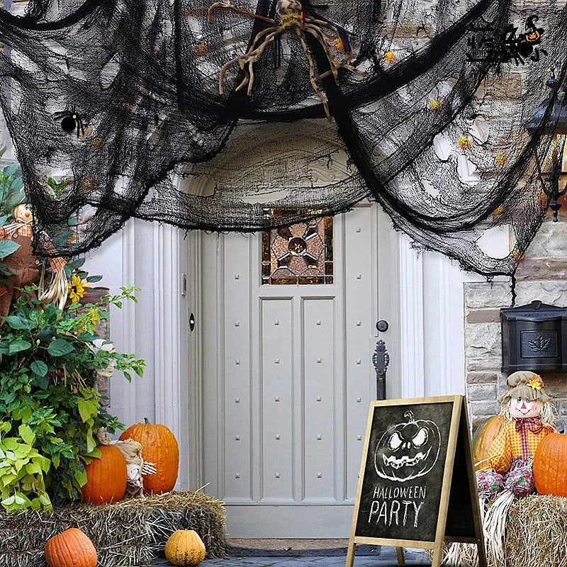 Halloween Haunted Gauze Spider Web
