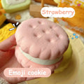 Big Cookie Cake Squishy